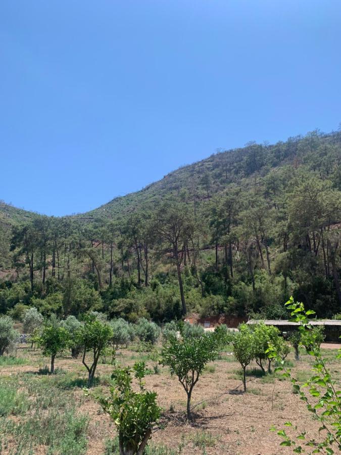 Doga Ciftlik Konaklama Marmaris Exteriör bild