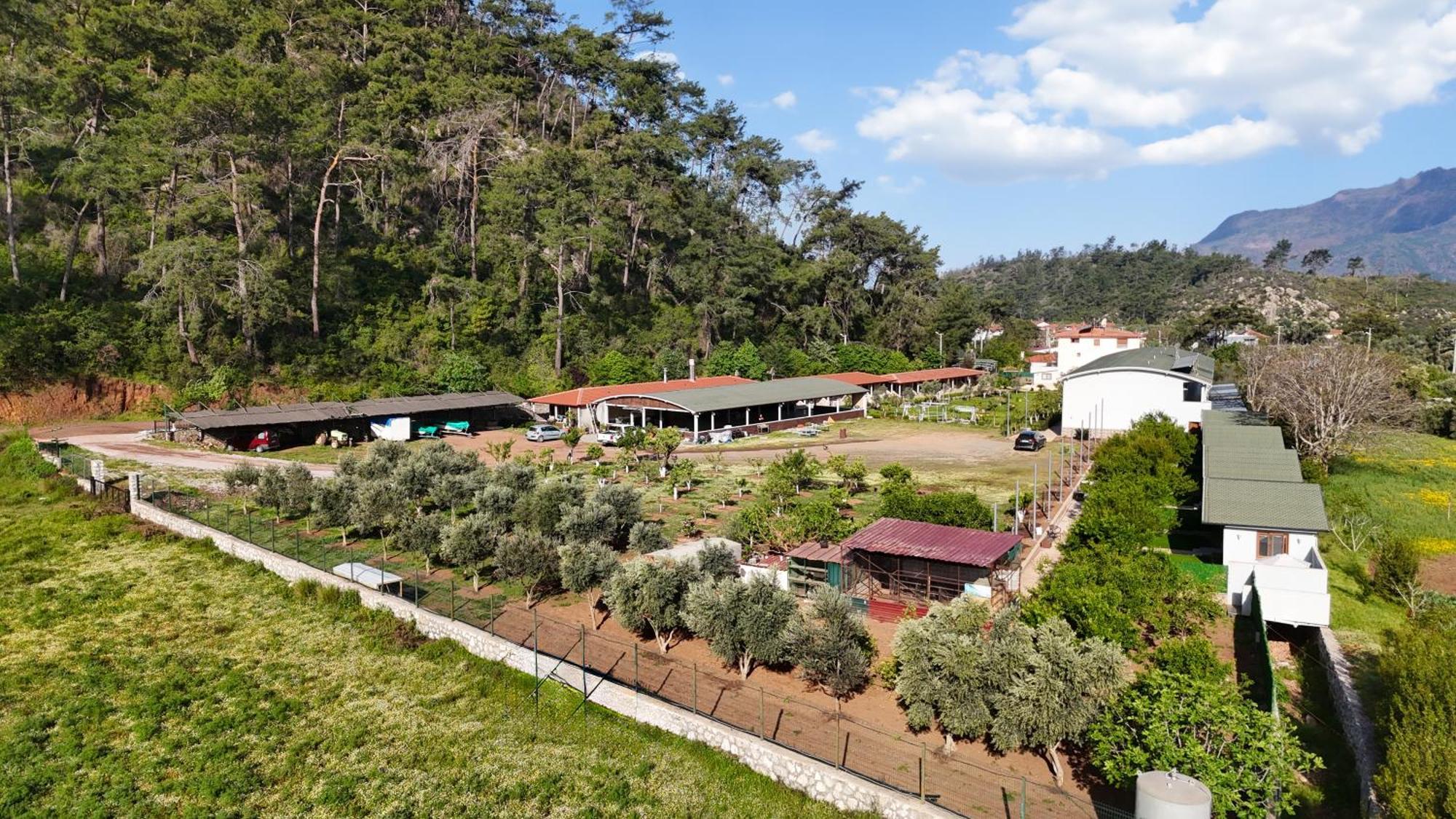 Doga Ciftlik Konaklama Marmaris Exteriör bild