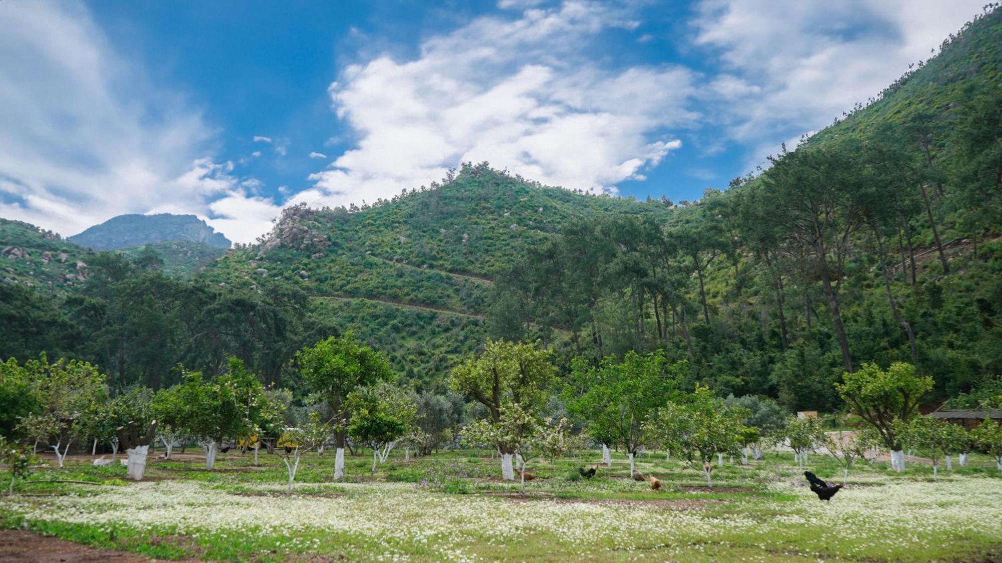 Doga Ciftlik Konaklama Marmaris Exteriör bild